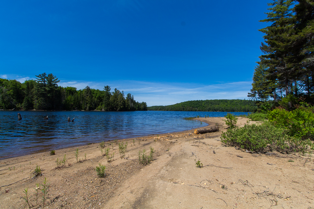 Ragged Lake - Island